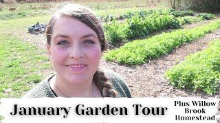 January Garden Tour and a visit from Willow Brook Homestead