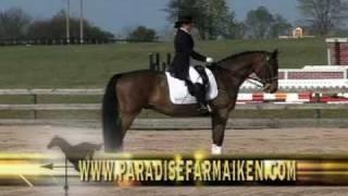 History of Dressage