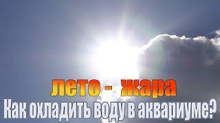 Как летом в жару охладить воду в аквариуме. И зачем вообще это нужно делать