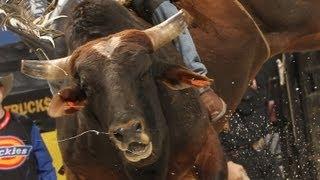 Robson Palermo wins PBR Chicago Invitational