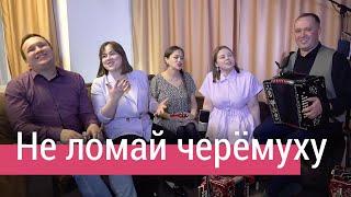 Ансамбль ПТАШИЦА – Не ломай черёмуху / Песня с задором под гармонь!