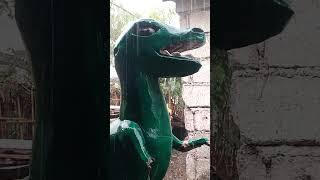 rainny days #rainnyday #fypyoutube #lipadblogtv #rain