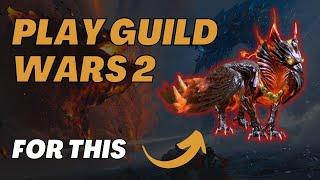 11 Reasons Why You Should Play Guild Wars 2