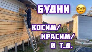 Есть ли жизнь после отпуска?.. Косим / Красим / Возим ... /// КрокоБудни. Часть - 1.