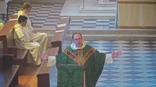 6th Sunday in Ordinary Time - Fr Nicholas Crowe OP