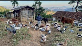 Serra da Mantiqueira # você também vai se encantar com este sítio nas montanhas ️