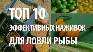 НАЖИВКА для РЫБАЛКИ. САМЫЕ ЭФФЕКТИВНЫЕ НАЖИВКИ ТОП 10