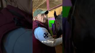 Казак - Евгений Артемович Богородский рассказывает о создании фамильной  конной амуниции. #лошади