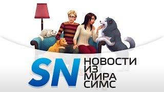 #SIMSNEWS | Питомцы осенью!