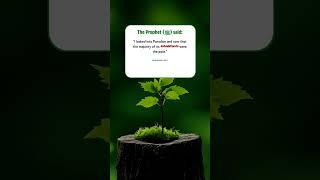 Hadith Sharif | Hadith of the Prophet (ﷺ) In English| A Powerful Hadith #hadees #shorts