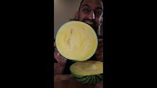 Let's Try YELLOW Watermelon