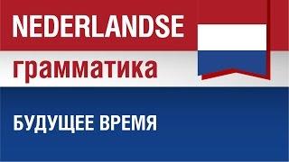 Грамматика голландского языка. Будущее время в голландском языке. Елена Шипилова.