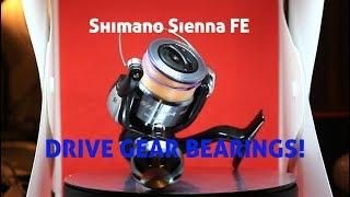 Shimano Sienna 4000 FE Drive Gear Bearing replacement I Disassembly , Maintenance, Reassembly