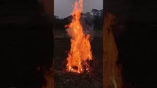what a Fire #bangladesh #trending #fire #winter #tiger #short #samba #brazilian