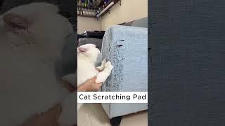 Stick It Anywhere, Let Your Cat Play Everywhere! #cats #catscratch #pets