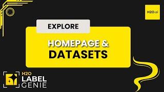 Exploring the Homepage and Datasets Tabs | H2O Label Genie Starter Track - Part 2