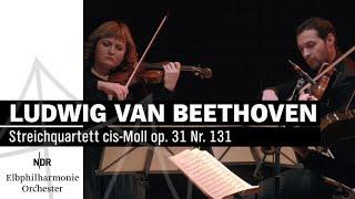 Ludwig van Beethoven: String Quartet in C-sharp minor, Op. 131 | NDR Elbphilharmonie Orchestra