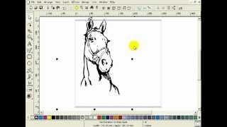 Tips&Tricks 11: Scan and vectorize images