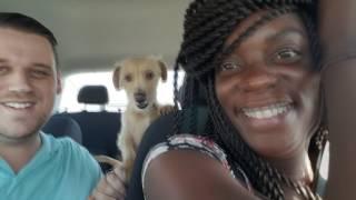 Road Trip | Nimi & Danny