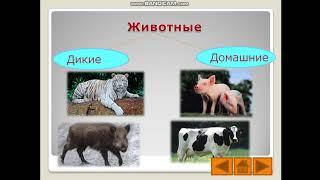 Дикие и домашние животные.  1 класс