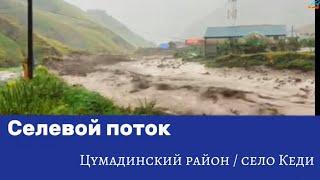 Селевой поток /Цумадинский район/ село Кеди / Дагестан / 2024 г. #селевойпоток #дагестан