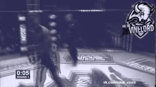 MMA VINES #33 / by Vinelord