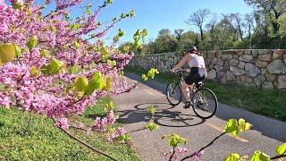 Biking Northern Virginia's Scenic Urban Trails to Washington, D.C. | Falls Church - National Mall