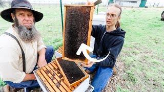 BIGGEST mistakes AMERICAN beekeepers make! a MUST WATCH