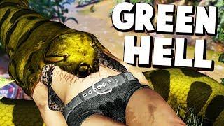 Most REALISTIC Animal Attacks EVER! How To Survive In Green Hell Forever! - Green Hell Gameplay