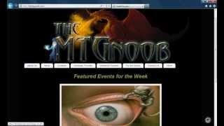 How www.themtgnoob.com works
