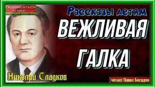 Вежливая галка— Николай Сладков —читает Павел Беседин