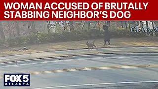 Woman accused of stabbing neighbor's dog to death | FOX 5 News