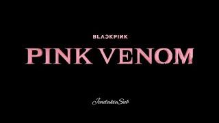 BLACKPINK ‘PINK VENOM’ MV [teasers]