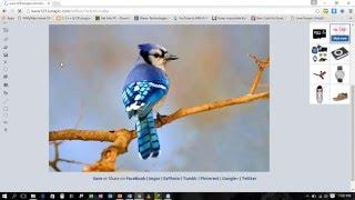 how to make a GIF (graphics interchange format) &beautiful 3D animation from images