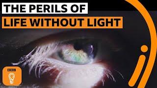 Why we need morning light | The Royal Society
