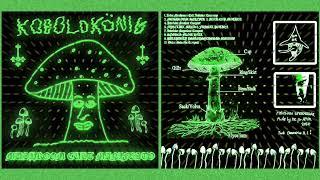 KOBOLDKÖNIG - MUSHROOM CULT MANIFESTO [Full album 2024] Speedkeller/Extreme Keller Synth