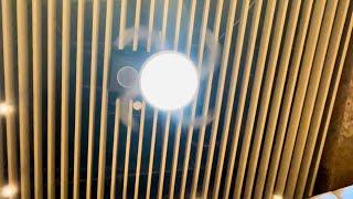 Video tour of 42" TCL retractable ceiling fans (ft. a few other things)