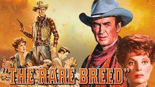 The Rare Breed (1966) Movie || James Stewart, Maureen O'Hara, Brian Keith || Review and Facts