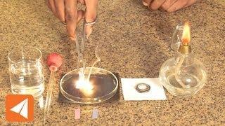 Magnesium Oxide and water| Acids & Bases | Chemistry