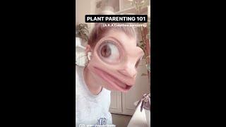 Plant parenting gone wrong!