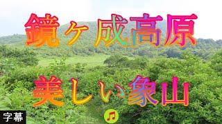 アジサイの咲く頃 6月19日 月曜 曇り時々晴れ 梅雨 美しい緑 鏡ヶ成高原 美しい象山 日本 鳥取県日野郡江府町御机 鏡ケ成湿地自然観察路 @WalkingYoshi