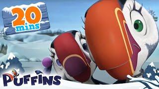 Puffins | 20 min | Puffin Fun Galore! | Cartoon For Kids | Puffins World