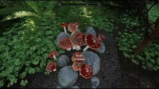 Skyrim SE With 58 GB Of Graphics Mods