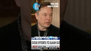 Musk's DOGE and Trump's Tariffs SCAM
