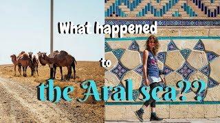 Discovering the Aral Sea and Turkestan - Road trip around Kazakhstan (part 2)