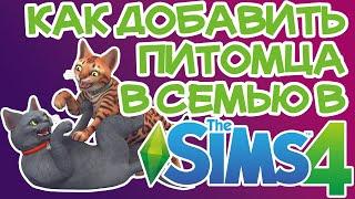 Как Добавить/Создать Питомца в Существующую Семью Sims 4 | Sims 4 Создать Питомца