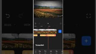 How To Add Effect Using FilmoraGo?
