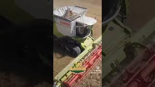Harvest's Claas | #agriculture #agro #farming #farmbrprogress #claas