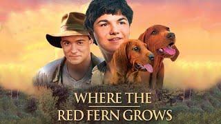 Where The Red Fern Grows Full Movie (1974) Review | James Whitmore | Beverly Garland