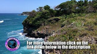 Oceanfront Property for Sale in Abreu